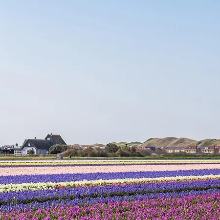 Lägenhet New! Het Gouden Huisje -