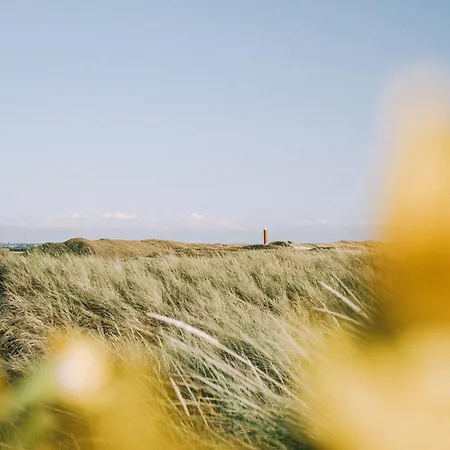 New! Het Gouden Huisje - Callantsoog
